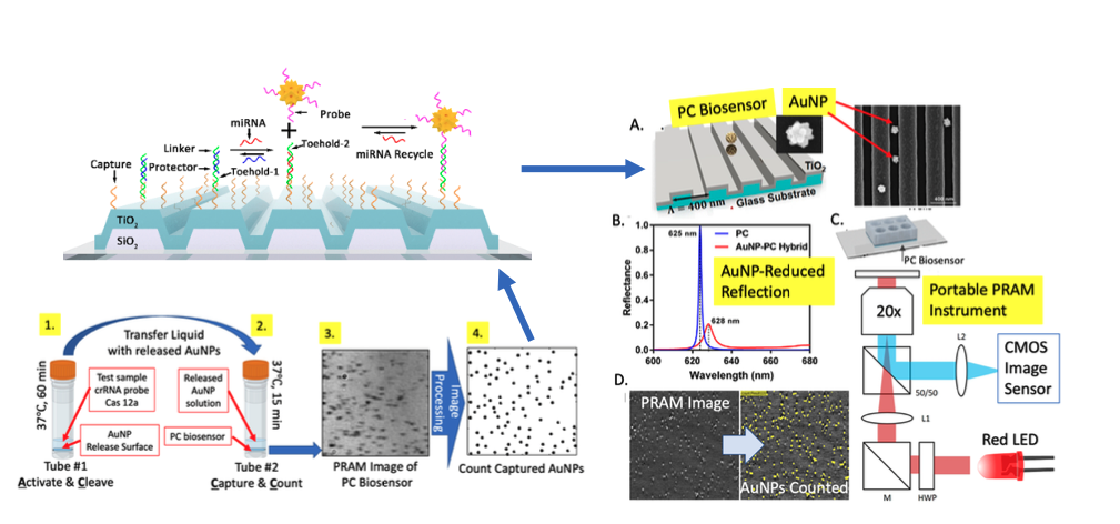 Detection and quantitation of cancer ctDNA and miRNA for point of care lung cancer therapy selection